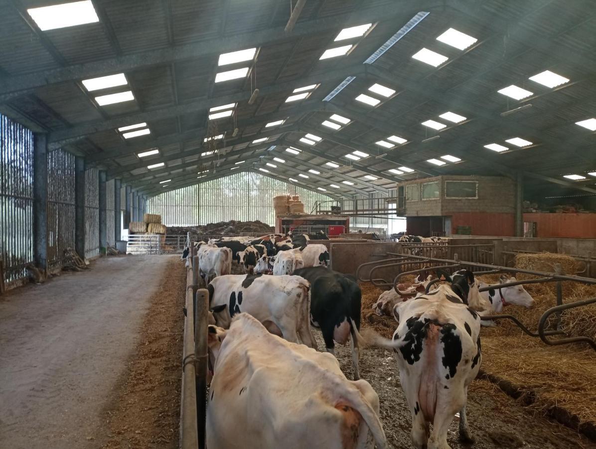 Gîte à la ferme chez Magali et Christian Escaudoeuvres Esterno foto