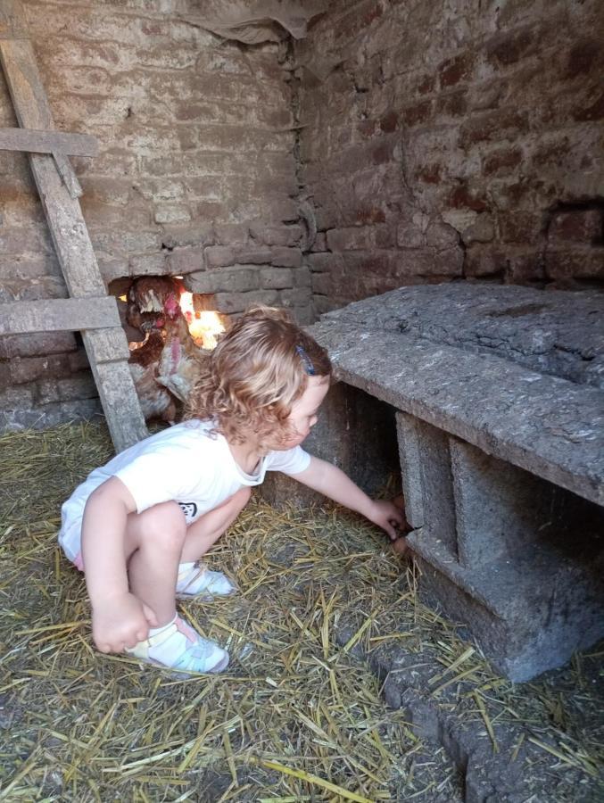 Gîte à la ferme chez Magali et Christian Escaudoeuvres Esterno foto