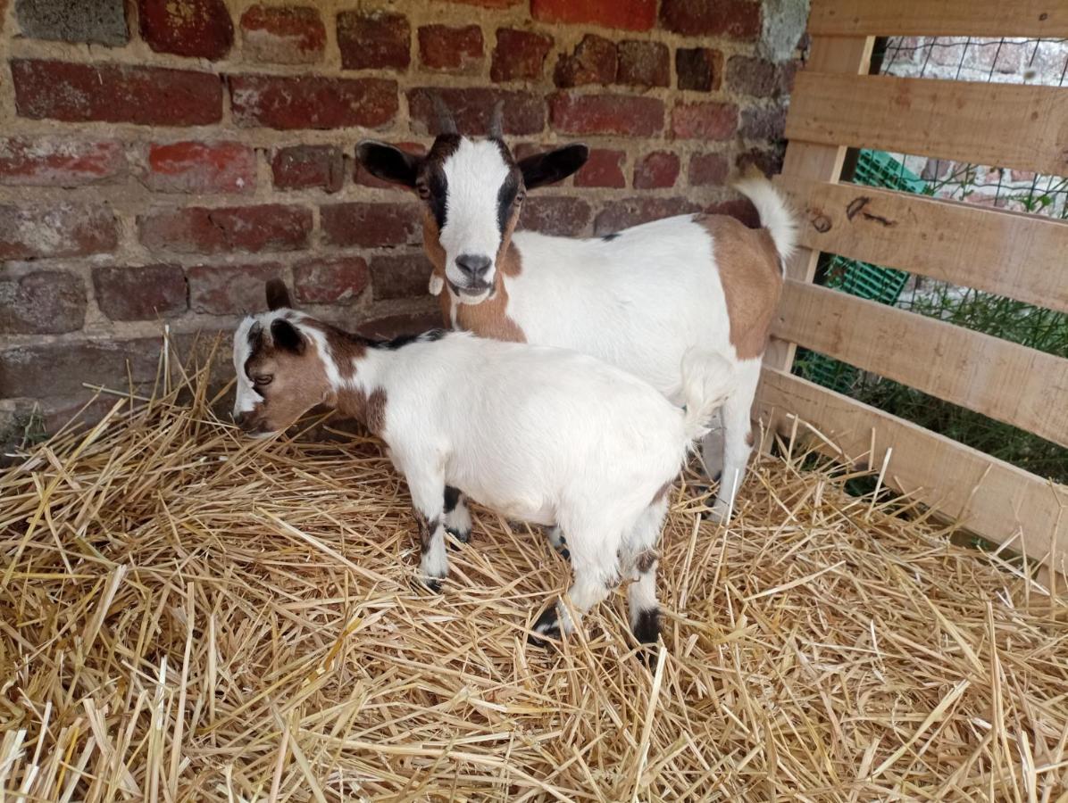 Gîte à la ferme chez Magali et Christian Escaudoeuvres Esterno foto