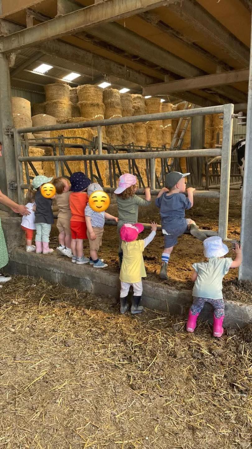Gîte à la ferme chez Magali et Christian Escaudoeuvres Esterno foto